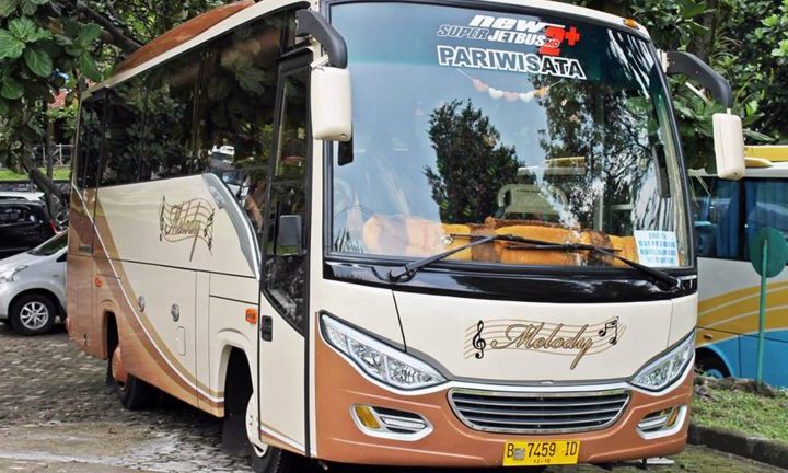 Sewa bus pariwisata