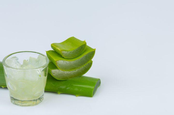 kandungan aloe vera